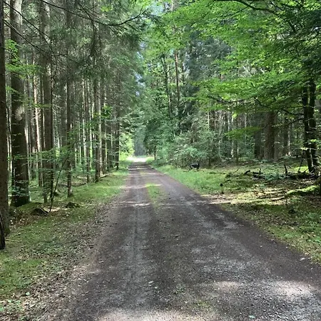 Black Forest - Boutique - Direkte Waldrandlage Altensteig